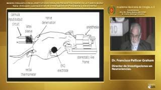 El estudio neurobiológico del dolor Dr. Francisco Pellicer Graham 11 de io del 2017