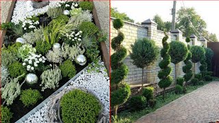 Beautiful Front Yard Decoration Design Garden ideas