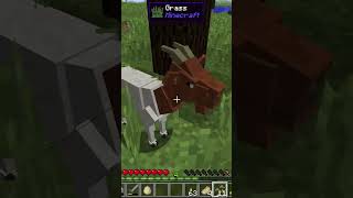 Feeding Dinos In Minecraft Jurassicraft #shorts #minecraft #jurassicworld #jurassicpark