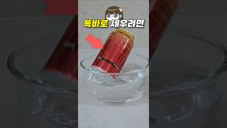 인싸 비법