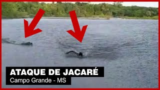 Homem nada em lago e é atacado por jacaré em Campo Grande – MS