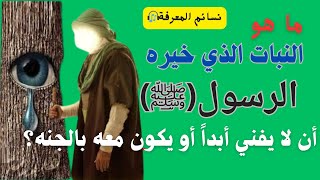 ما هو النبات الذي خيره الرسول(ﷺ) أن يظل مثمر ولا يفني أو يكون معه بالجنه؟#video #متع_عقلك#trend