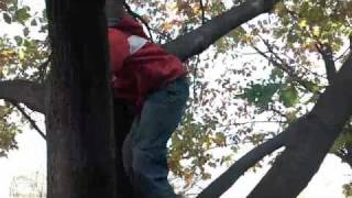 How to Climb a Tree