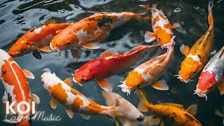 Tranquil Koi Fish Pond: Relaxing Sounds and Meditation | Ultimate Relaxation