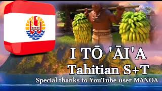 Where You Are : Tahitian (S+T)