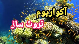 اکواریوم ثروتساز در فنگشویی:رازهای اکواریوم ثروت سازدرفنگشویی.#elikha#فنگشویی#آکواریوم