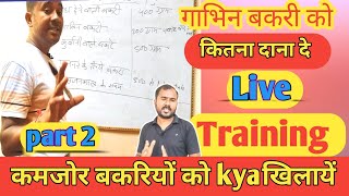 Bakri Ko Kitna Dana Dena Chahiye |Part 2|Goat Training Video |Vimalumrao