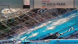 Dolphin show in Japan Tokyo maxell aqua park shinagawa