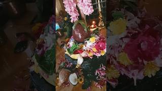 Kartika masa special pooja day 5 2024, om namah shivay