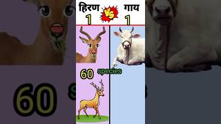 हिरण VS गाय❓|| Deer 🆚 Cow ||#shorts #youtubeshorts #viral