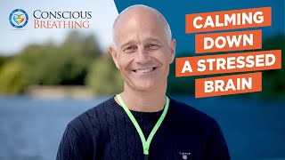 Calming Down a Stressed Brain Through Conscious Breathing