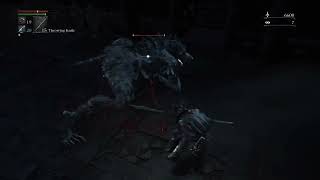 Bloodborne solo 3