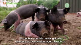 Wat zijn buitengewone varkens?