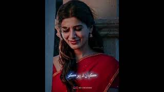 Tosan Sath Sacho Aa 🥰 Sindhi Song Lyrics ❤️ New WhatsApp Status 2021