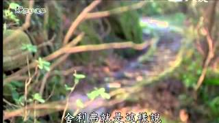 20140328《靜思妙蓮華》應緣而分別說