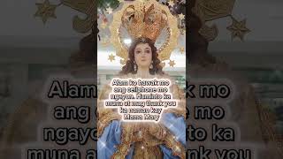 Mama Mary pray for us #mamamaryprayforus #fyp #viralvideo #shorts #prayer #highlights #catholic