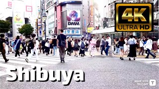 【4K】Shibuya Crossing - Walk to watch Live Music