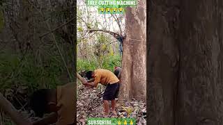 Tree Cutting, tree cutting fail, fail cutting machine, chainsaw lock #shorts #logging #viral #home