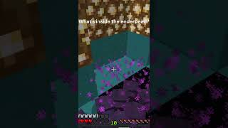 What's inside the Enderpearl? #minecraft #meme #viral