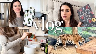 VLOG | Baking & Taco Supreme, Diabetes Test, Husbands Birthday, Zoo with the Family