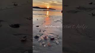 Sunset in Langkawi 2020 Haley Reinhart - Can’t help falling in love with you