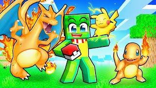 Devenir le ROI DES POKÉMON sur Minecraft !