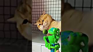 funny cat #funny #fyp #shorts #subscribe