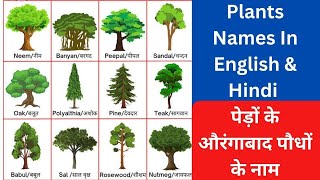 पेड़ों के नाम | Trees Names In English and Hindi | Plants Name | Trees Names | पौधों के नाम