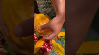 It looks very easy to peel mangoes😂#fruit #fruits #satisfying #youtubeshorts