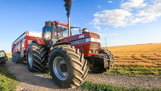 CASE IH 1455 XL | PURE SOUND |😍