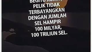 Apalah daya kita,  Tanpa pertolongan Allah