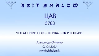 ЦАВ 5783. "ПЭСАХ ПРЕВЕЧНОГО - ЖЕРТВА СОВЕРШЕННАЯ". (Александр Огиенко 01.04.2023)