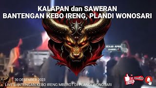 KALAPAN dan SAWERAN BANTENGAN KEBO IRENG LIVE PLANDI WONOSARI