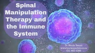 The Effect Spinal Manipulation Therapy Has on The Immune System 1