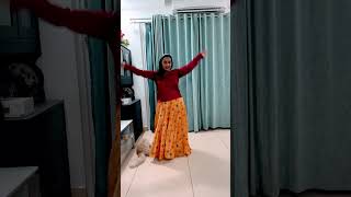 Tum tum song dance my cat has liked it