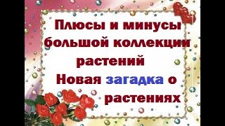 Плюсы и минусы большой коллекции растений || Новая загадка о растениях