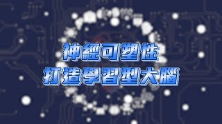 【認識大腦運作讓你掌握學習的秘訣】神經科學與AI的關係