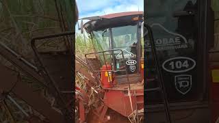 Toma li Canaa 🌾🌾 #youtube #agrobr #caseihagriculture #grunner #deusnocomando