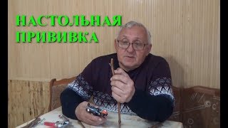 Как делать настольные прививки винограда www.vinograd-kriulya.com