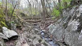 Creek great falls park