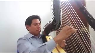 Arpa  Instrumental - Para un viejo corazón (Angel Bredillana) - Otoniel Ccayanchira