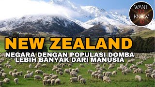 FAKTA TENTANG NEW ZEALAND - NEGARA DENGAN POPULASI DOMBA LEBIH BANYAK DARI MANUSIA