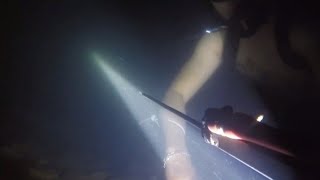 spearfishing 3 -  săn thủy quái mà toàn gặp rô phi