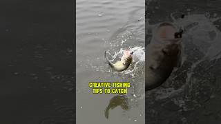 CREATIVE Fishing Tips - Your Guide To Fishing!! 🎣🐟 #shorts #fishing