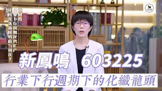 行業下行週期 | 化工龍頭 |  新鳳鳴 | 603225 | Leading Chemical Industry