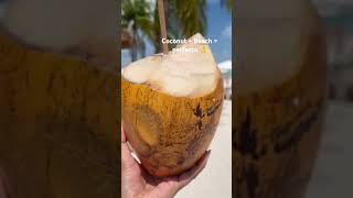 Lovely day in beach with coconut #shorts #youtubeshorts #short #mexico #cancun #vacation