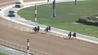 MEYDAN TRIALS 16102024 TRIAL 6