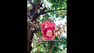 Người hơn người cũng tròn 1 kiếp #music #video #thiền