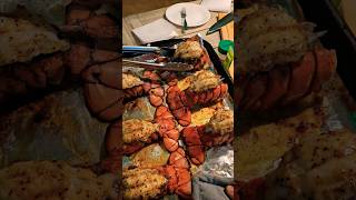 Line it up (Lobsters) #shortvideo #shorts #youtubeshorts #pnw #seafood #fyp