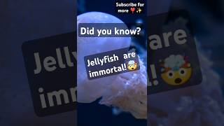 Did you know? Jellyfishes are immortal!🤯 ||#facts ||#shorts ||#youtubeshorts |